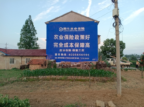  平利墙体广告为何受追捧？